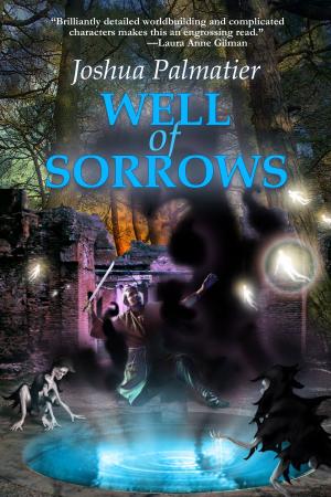 Cover of the book Well of Sorrows by Steve White