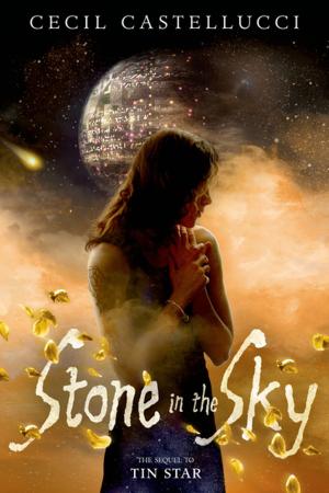Cover of the book Stone in the Sky by Michael Brachman