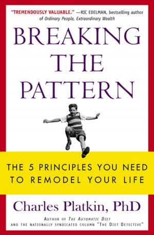 Cover of the book Breaking the Pattern by Sally Mandel