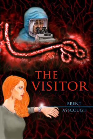 Cover of the book The Visitor by Alan Brenham