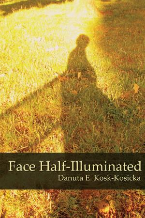 Cover of the book Face Half-Illuminated by Kimberley Lynne
