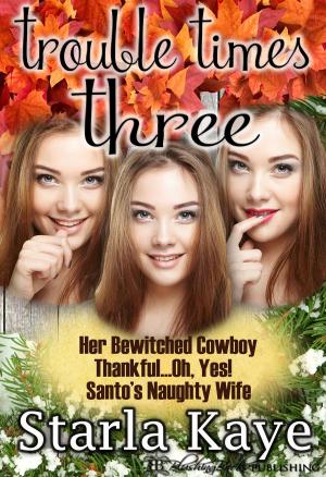 Cover of the book Trouble Times Three by Melinda Barron