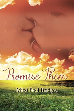 Cover of the book Promise Them by Jan Romes