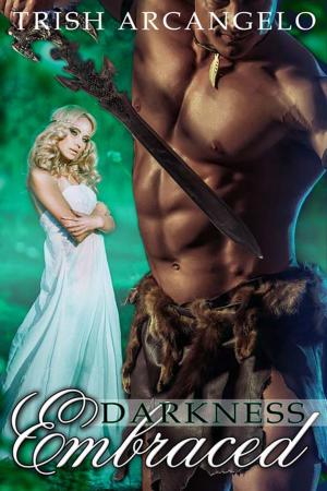 Cover of the book Darkness Embraced by Sephera Giron
