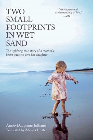 Cover of the book Two Small Footprints in Wet Sand by Nicholas Booth
