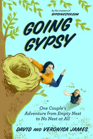 Book cover of Going Gypsy