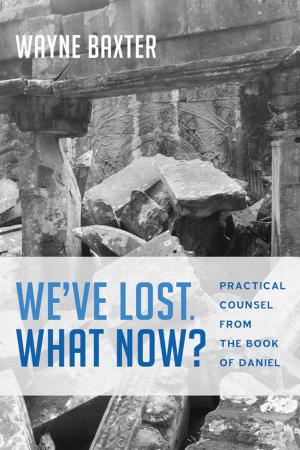 Cover of the book We’ve Lost. What Now? by David Lee