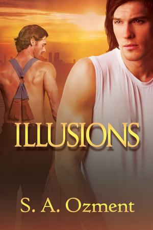 Cover of the book Illusions by Robert P. Rowe