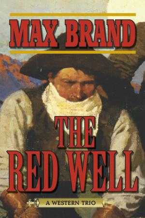bigCover of the book The Red Well by 
