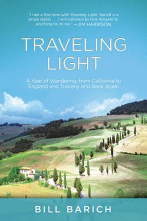 Cover of the book Traveling Light by Erica Palmcrantz Aziz, Anna Hult