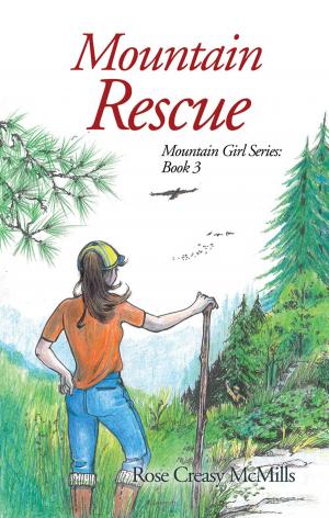bigCover of the book Mountain Rescue by 