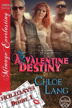 Cover of the book A Valentine Destiny by Silke Ming