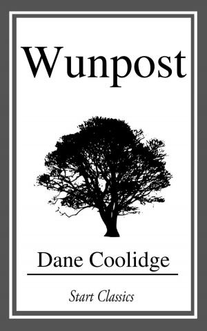 Book cover of Wunpost