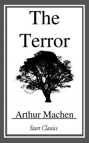 Cover of the book The Terror by Berthold Auerbach