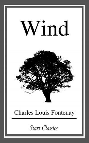 Cover of the book Wind by Walter J. Sheldon