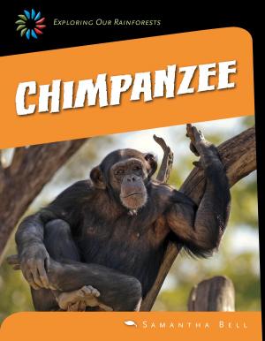 Cover of the book Chimpanzee by Czeena Devera