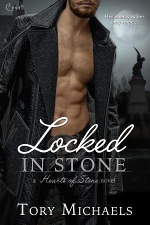 Cover of the book Locked in Stone by Kristin Miller