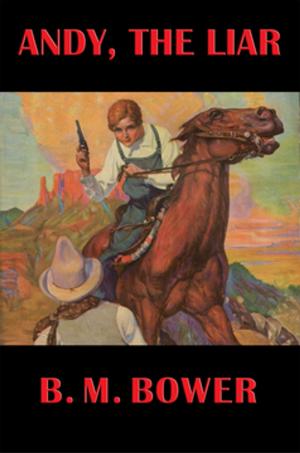 Cover of the book Andy, the Liar by Zane Grey