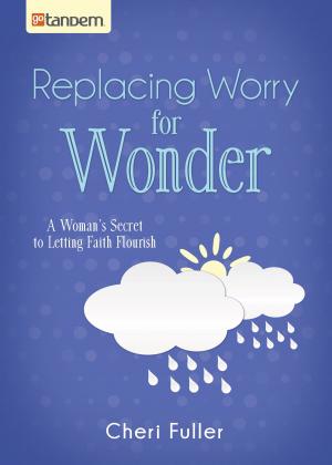Cover of the book Replacing Worry for Wonder by Kelly Eileen Hake