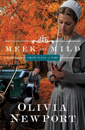 Cover of the book Meek and Mild by Jennifer AlLee, Carla Olson Gade, Lisa Karon Richardson, Gina Welborn