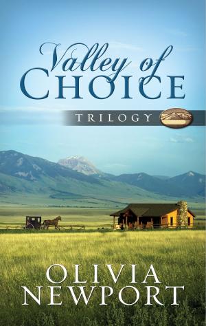 Book cover of Valley of Choice Trilogy