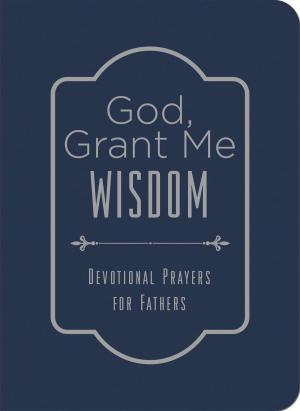Cover of the book God, Grant Me Wisdom by Dianne Christner, Kristin Billerbeck
