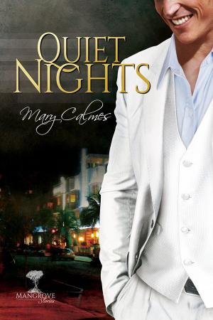 Cover of the book Quiet Nights by Simona Burgio