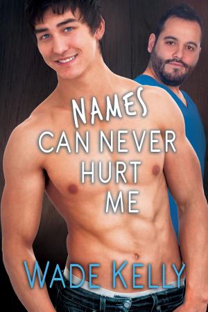 Cover of the book Names Can Never Hurt Me by L.J. LaBarthe
