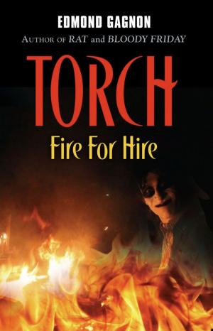 Cover of the book Torch by E.J. Deen