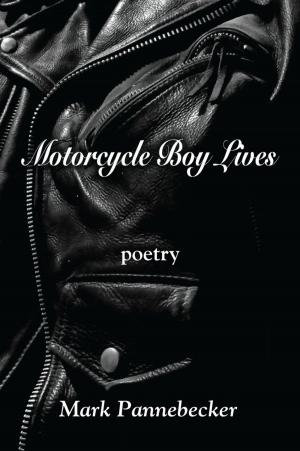 Book cover of MOTORCYCLE BOY LIVES