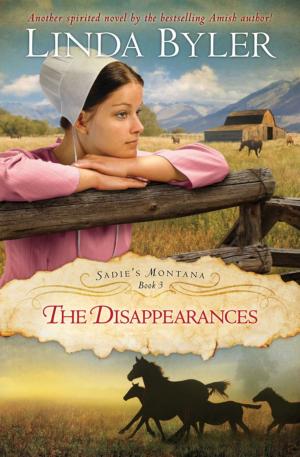 Cover of the book Disappearances by Jayne Docherty