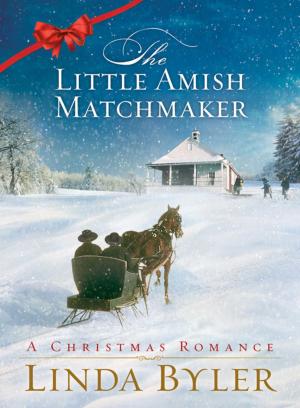 Cover of the book Little Amish Matchmaker by Phyllis Good