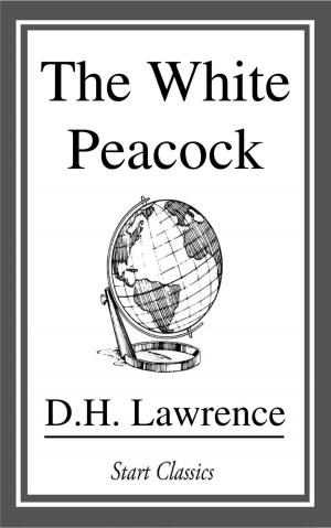 Cover of the book The White Peacock by Berthold Auerbach