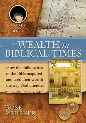 Cover of the book Wealth in Biblical Times by Clarrissa Akyroyd