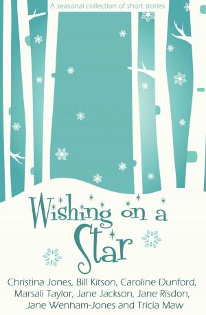 Cover of the book Wishing on a Star by Michael Rolfe