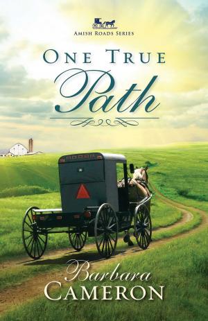 Cover of the book One True Path by Karen Barnett