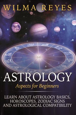 Cover of the book Astrology Aspects For Beginners by Baby Professor