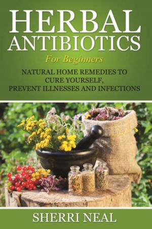 Cover of the book Herbal Antibiotics For Beginners by Erin Morrow