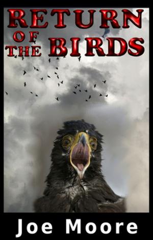 Cover of the book Return of the Birds by Kylie Brant