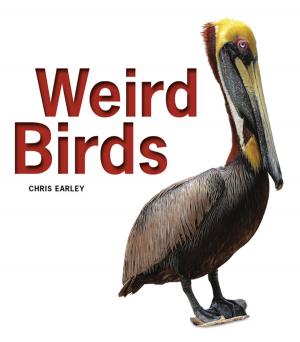 Cover of the book Weird Birds by David Posen