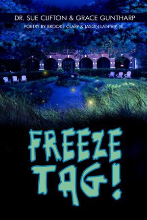 Cover of Freeze Tag!