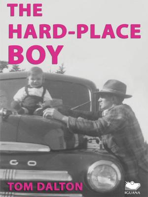 Cover of the book The Hard-Place Boy by S.I. Boucaud