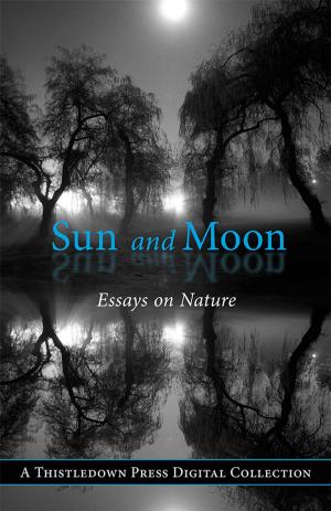 Cover of the book Moon and Sun by Devin Krukoff
