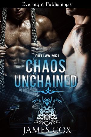 Cover of the book Chaos Unchained by Cooper Fox