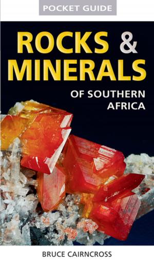 Book cover of Pocket Guide to Rocks & Minerals of southern Africa