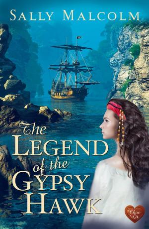 Cover of the book The Legend of the Gypsy Hawk by Christina Courtenay