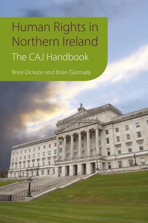 Cover of the book Human Rights in Northern Ireland by Peter Lamb, Professor Douglas Burnham
