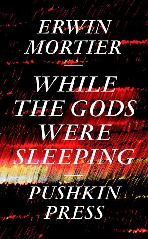 bigCover of the book While the Gods Were Sleeping by 