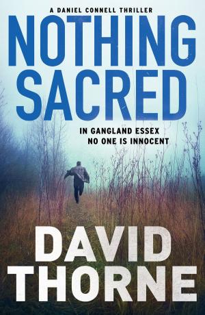 Cover of the book Nothing Sacred by Mark Dapin