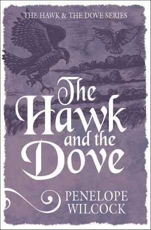 Cover of the book The Hawk and the Dove by Martin de Lange, Belinda Lamprecht